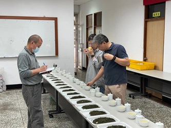 中市梨山茶評鑑得獎揭曉  黃厚文榮獲梨山茶王...