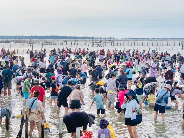 臺南七股海鮮節開跑   體驗摸文蛤樂趣並品嚐在地海味...