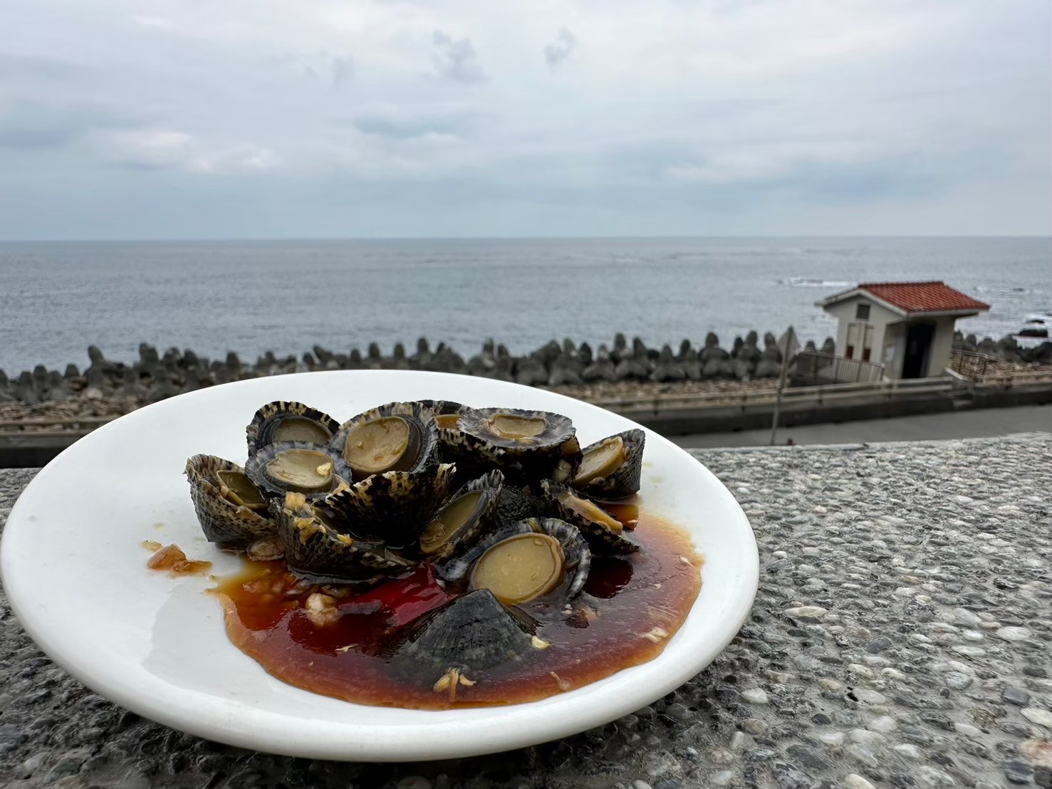 新北東北角私房料理   淡雅海鋼盔鮮味十足...