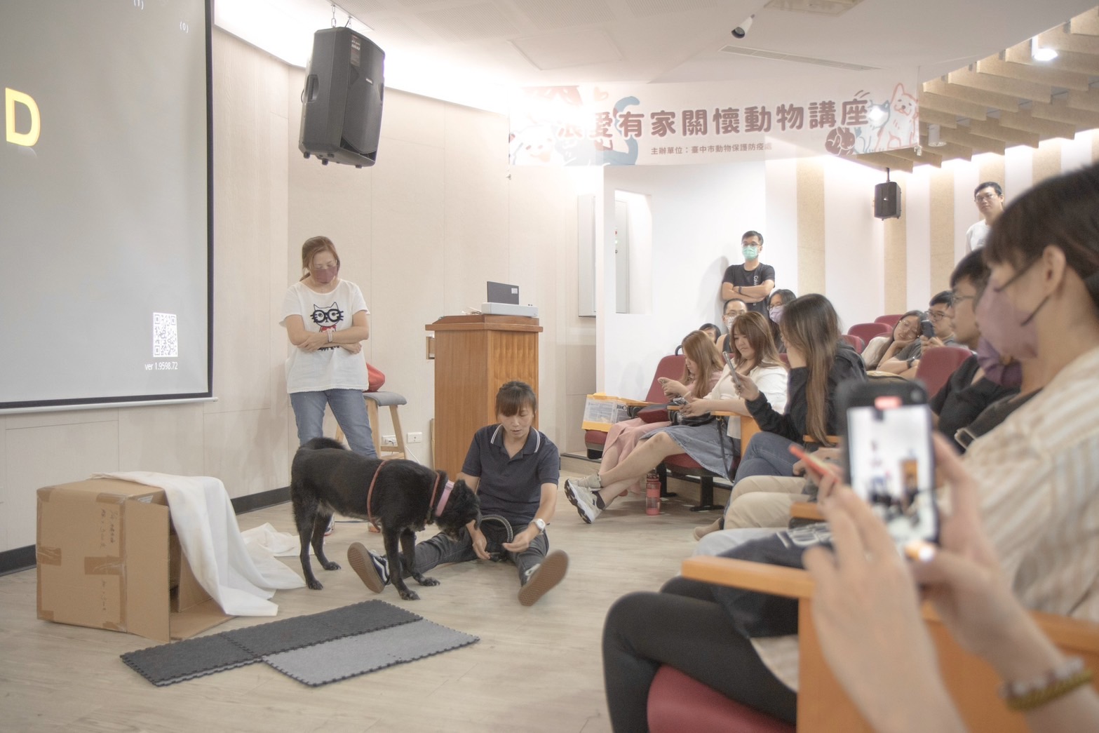 陪牠慢慢變老  動保處辦老犬生活照護講座...