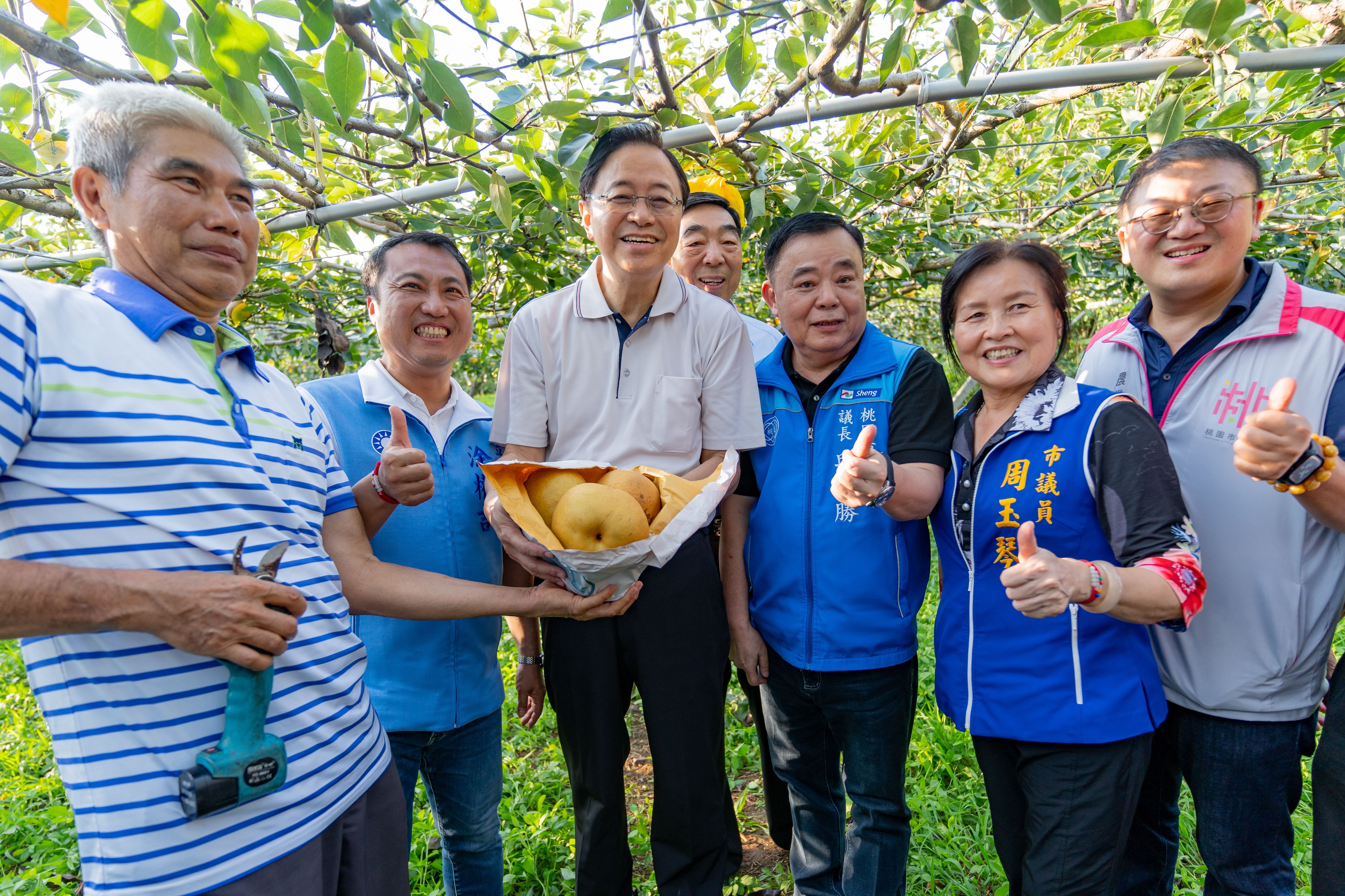 楊梅在地好農推廣活動　一同品嘗「寶島甘露梨」...