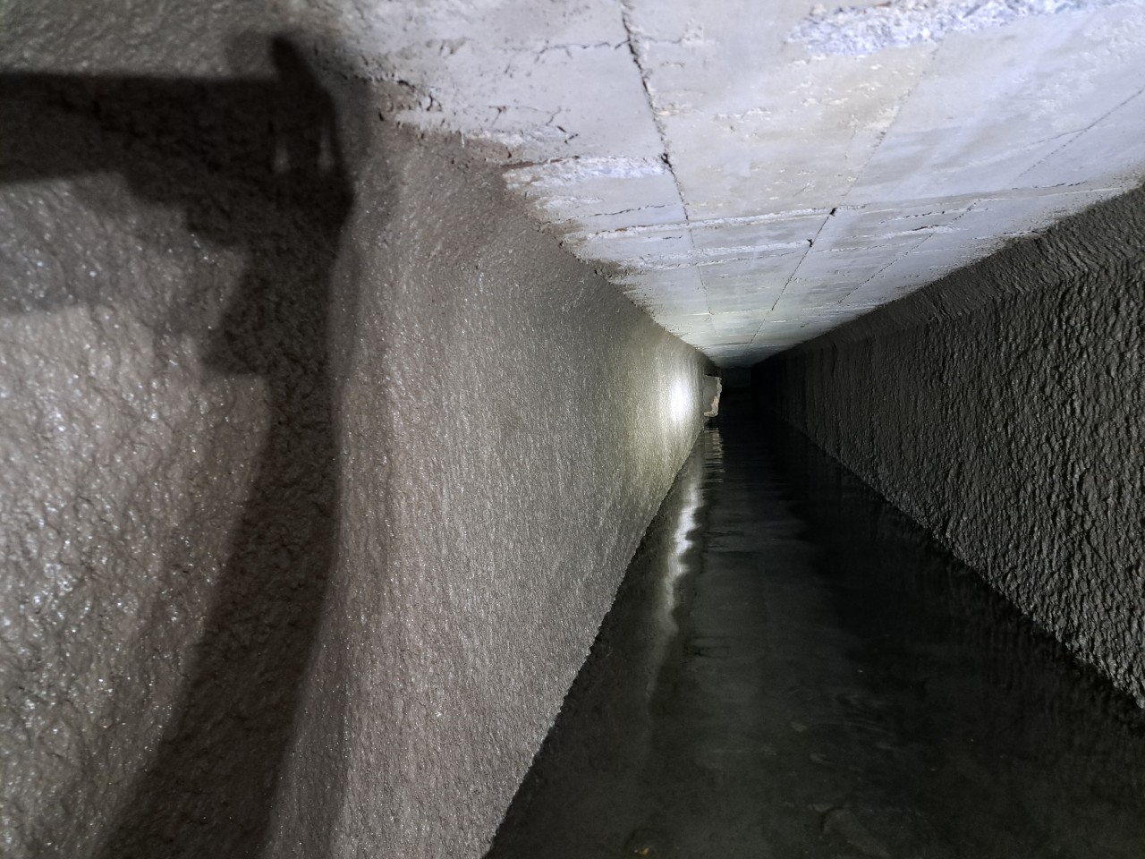 優化林園地區老舊排水系統   提升地區防洪韌性與道路安全...