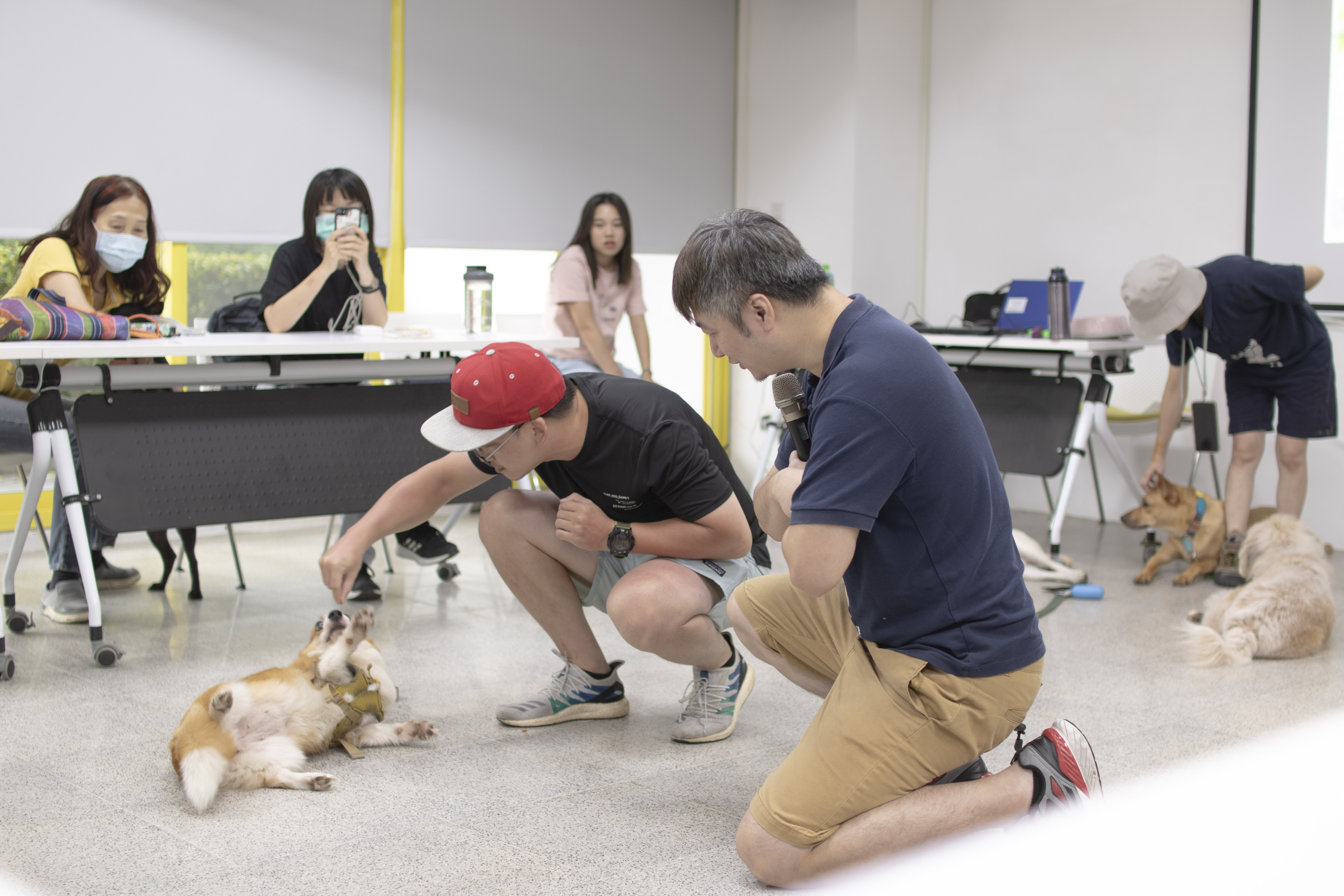 人寵生活幸福加分   動保處邀訓犬師傳授祕訣...