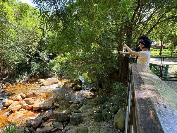 磺溪四季風情不一般   北市天母公園閃耀綠寶石光芒...