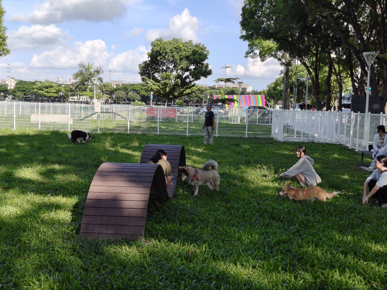 毛小孩也瘋狂　岡山又有寵物公園即將完工！