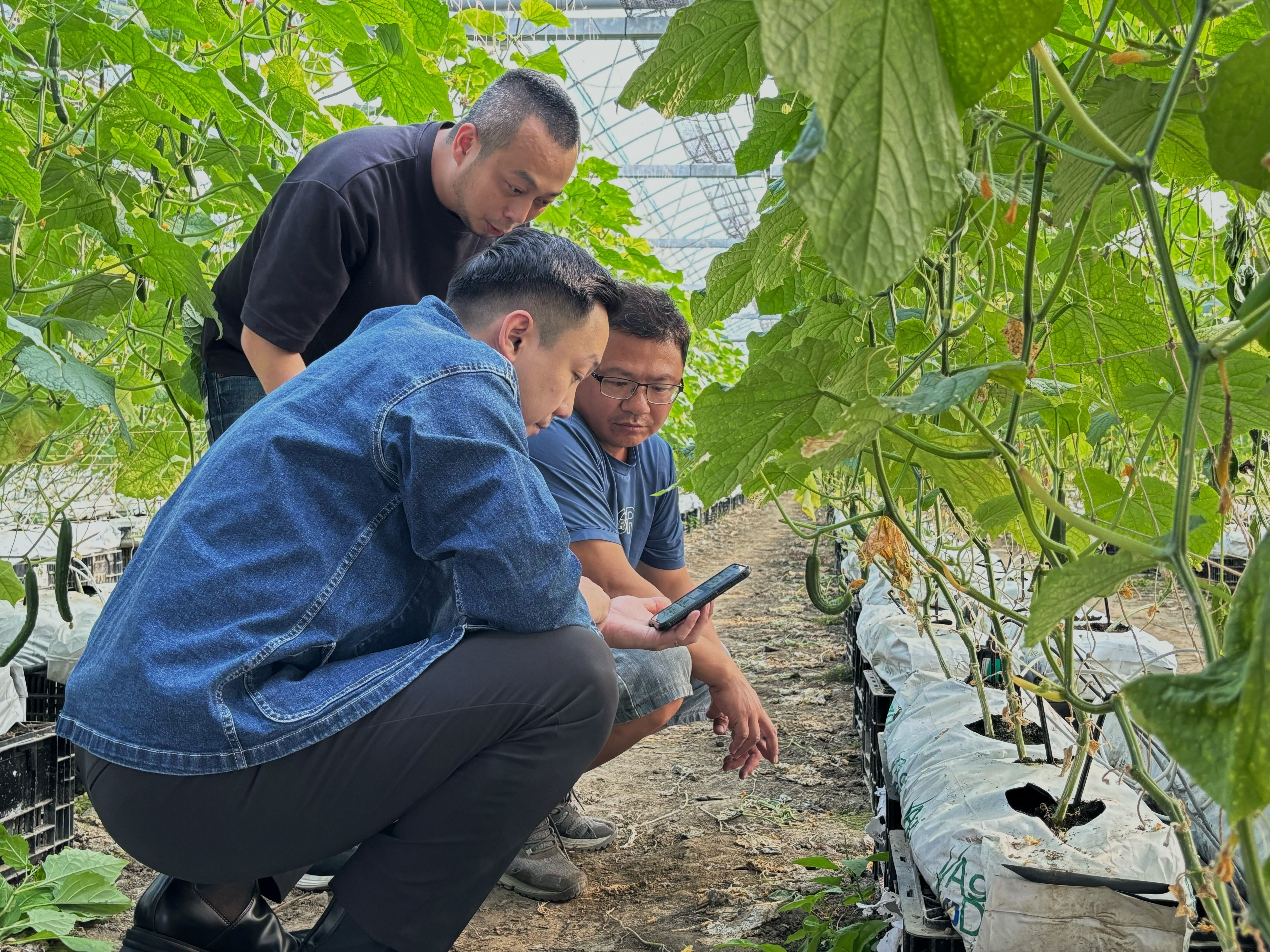 用科技翻轉農業 「智食良果」獲補助力挺