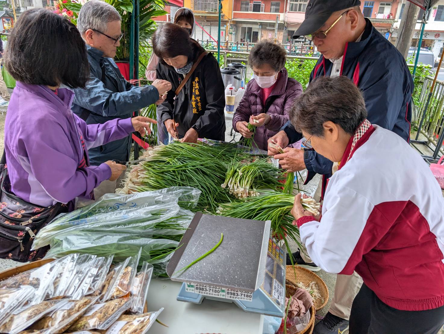 新北推春嚐珠蔥 25家餐廳消費滿額送折價券