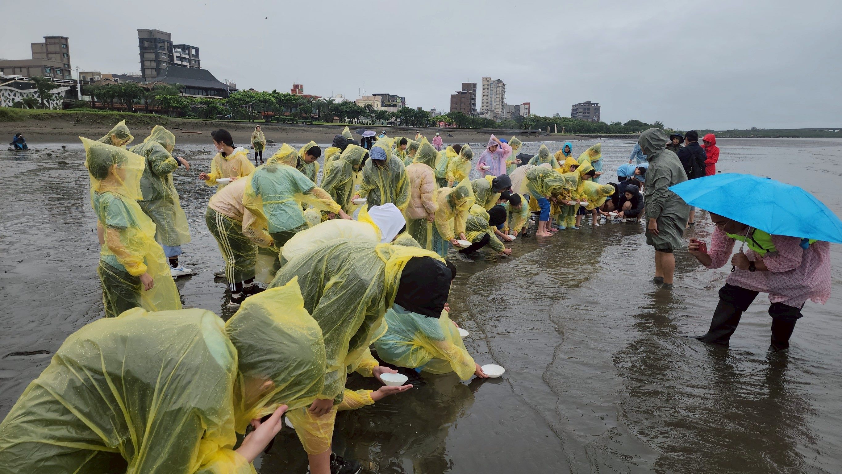 北市「鱟知鱟學」海洋保育  學童以行動響應永續精神...