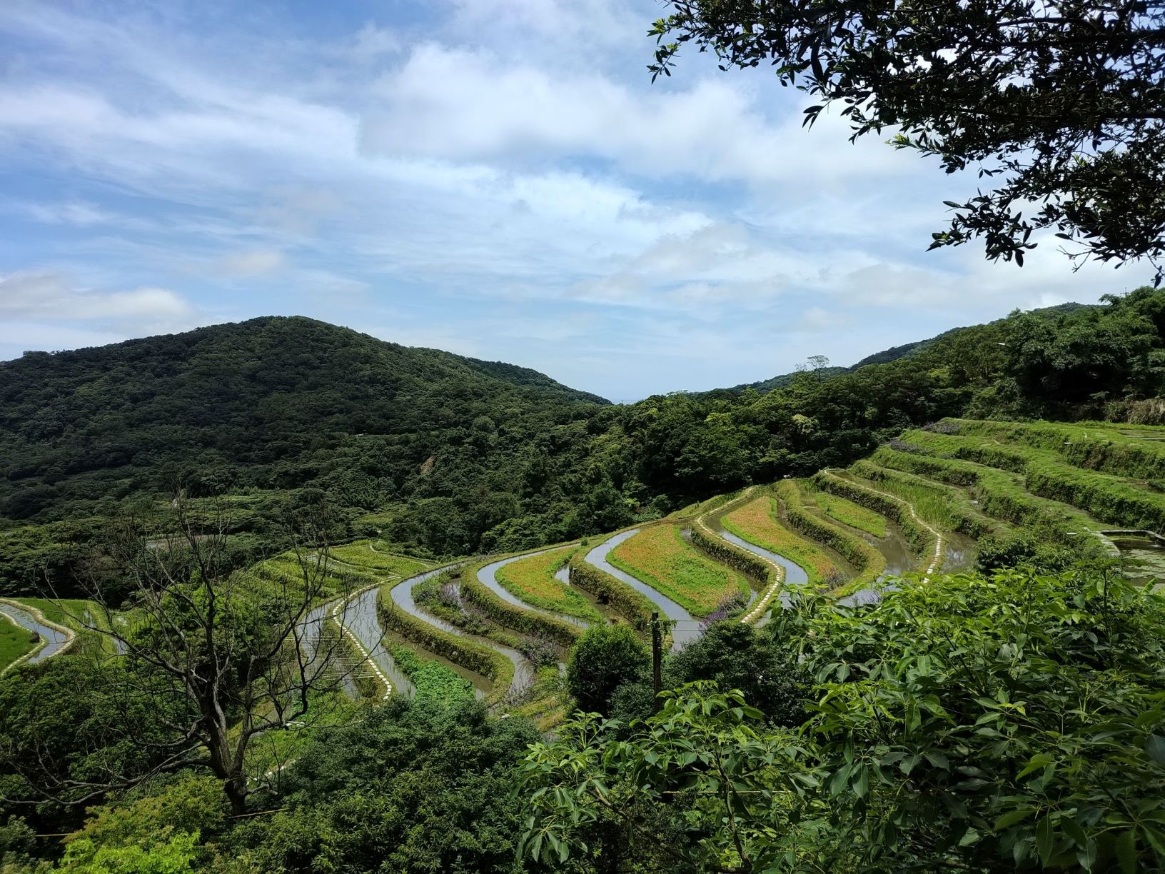 新北生態服務給付申請至6月底   每公頃最高可領7萬生態薪...