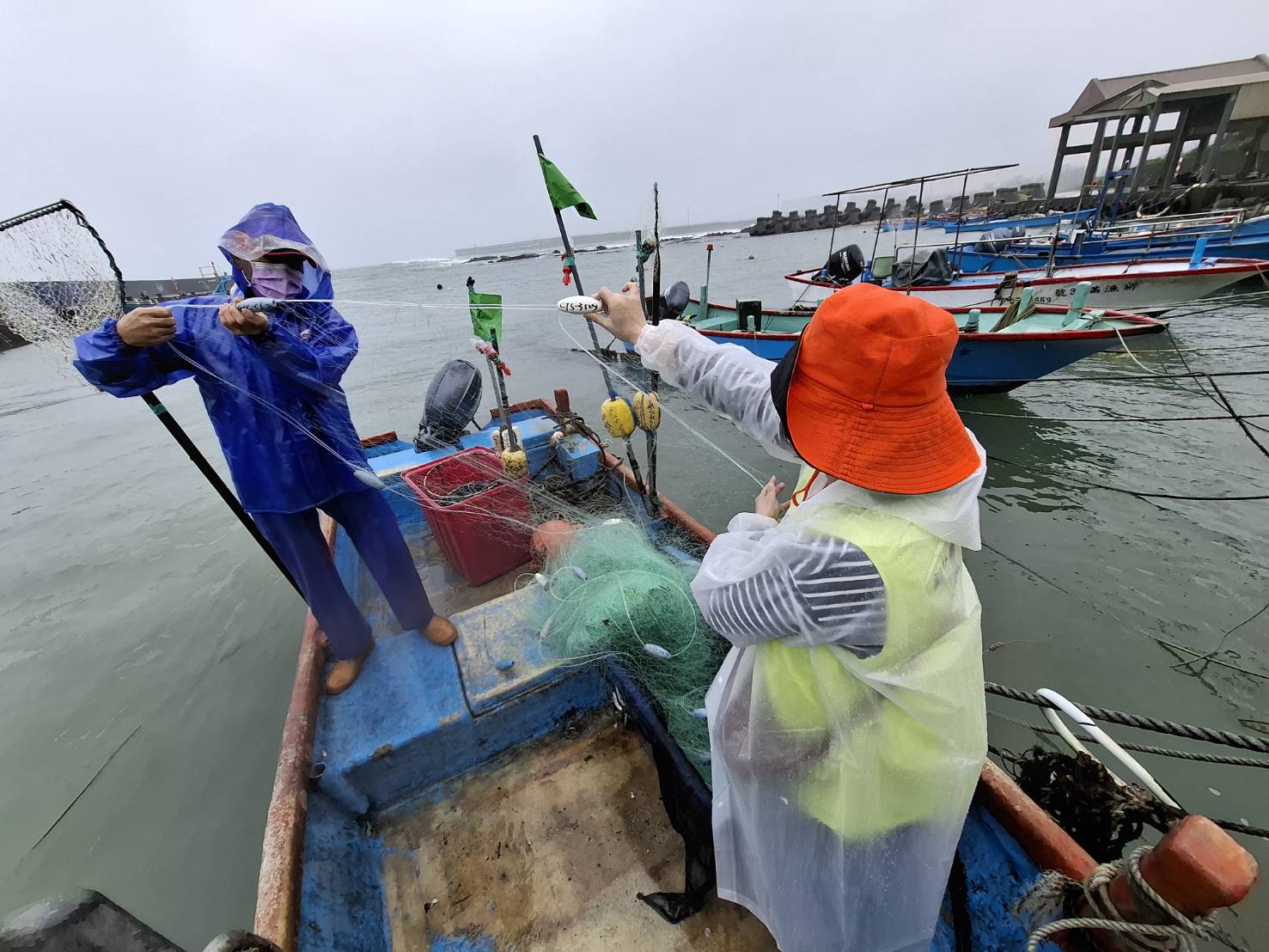新北漁海共好拚永續 將推刺網全面退出東北角 打造貢寮珊瑚海岸