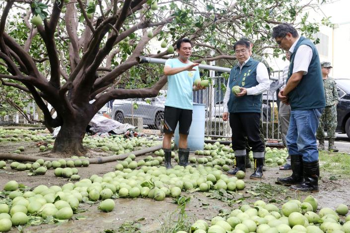 丹娜絲颱風強風重創文旦產區 黃偉哲指示全力支援清運復原...