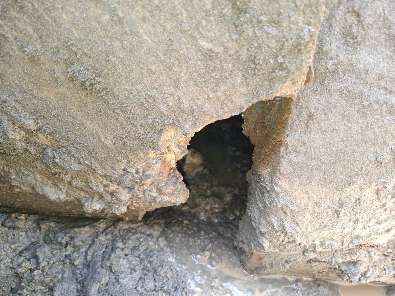 整建鼓山區日昌路排水涵管   不影響內惟黃昏市場營業