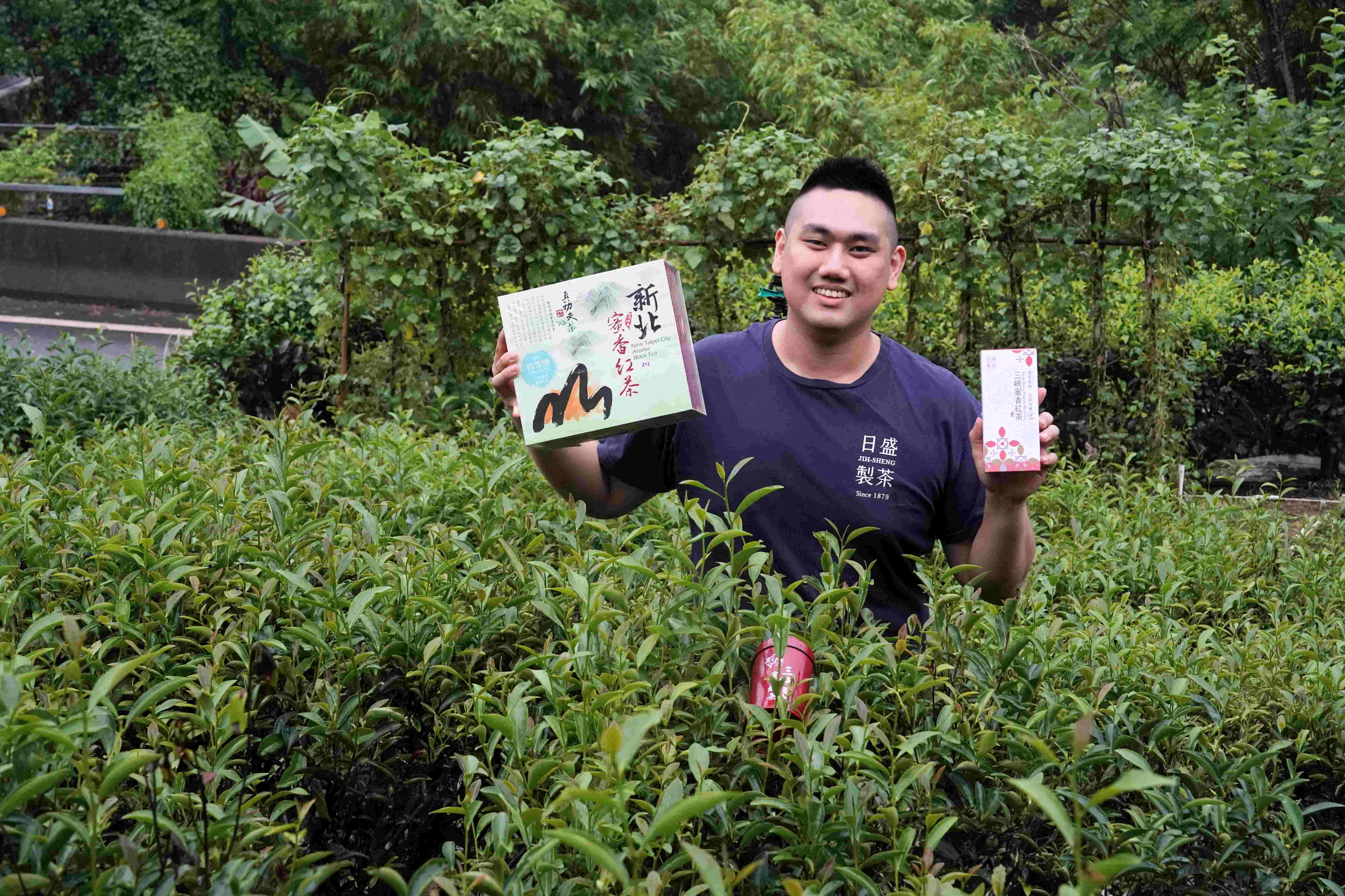 新北蜜香紅茶評鑑結果出爐  三峽青農周子耀蟬聯3年冠軍...