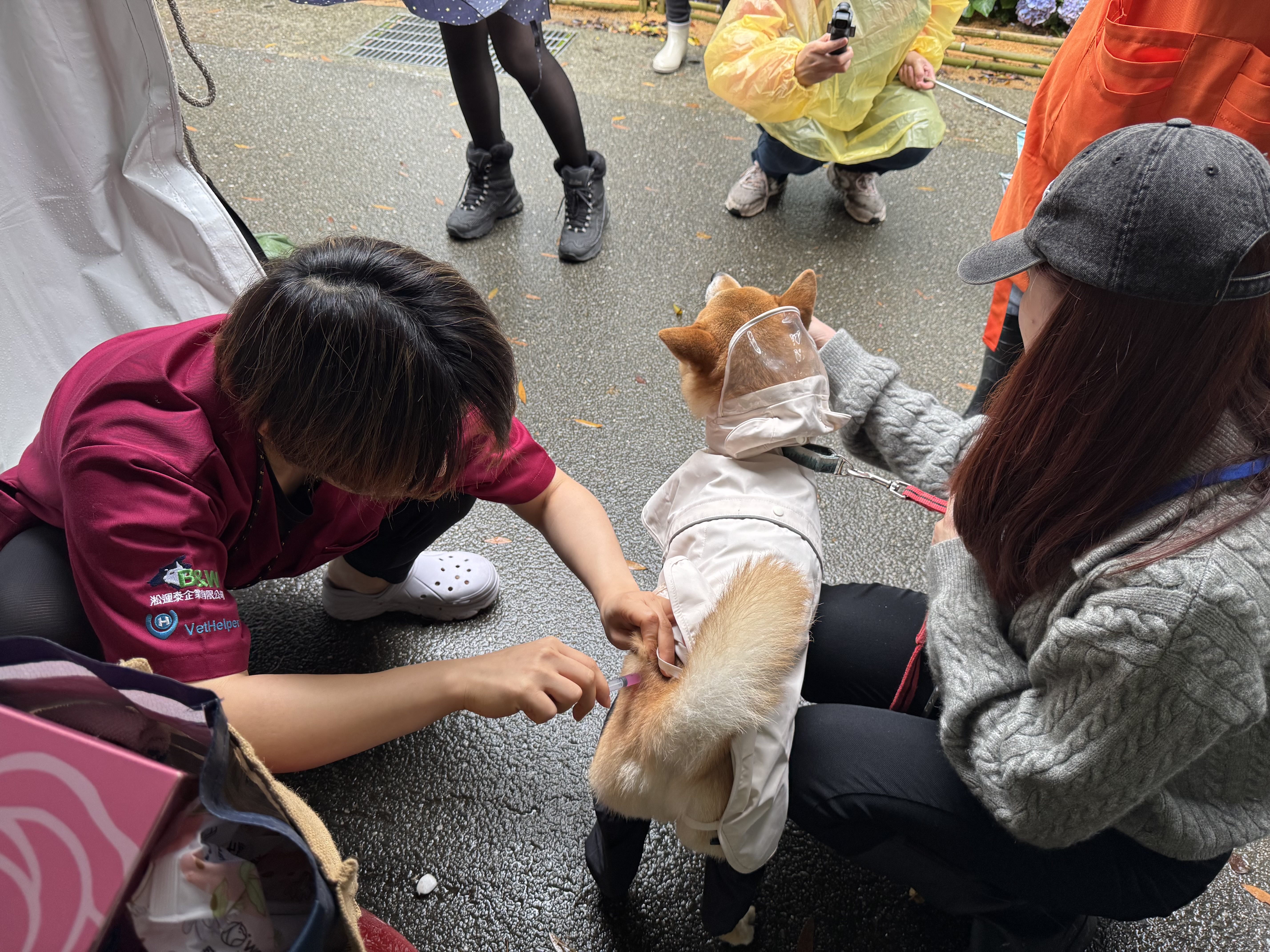 「2025 不浪了  踩街義賣市集活動」公益市集幫助流浪動物...