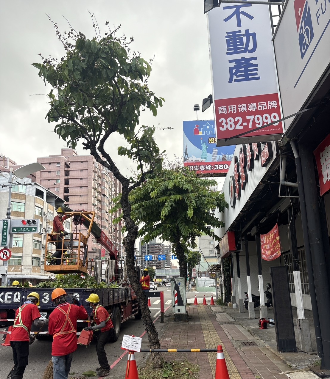 颱風來襲　高市公園處強化護樹防颱準備...