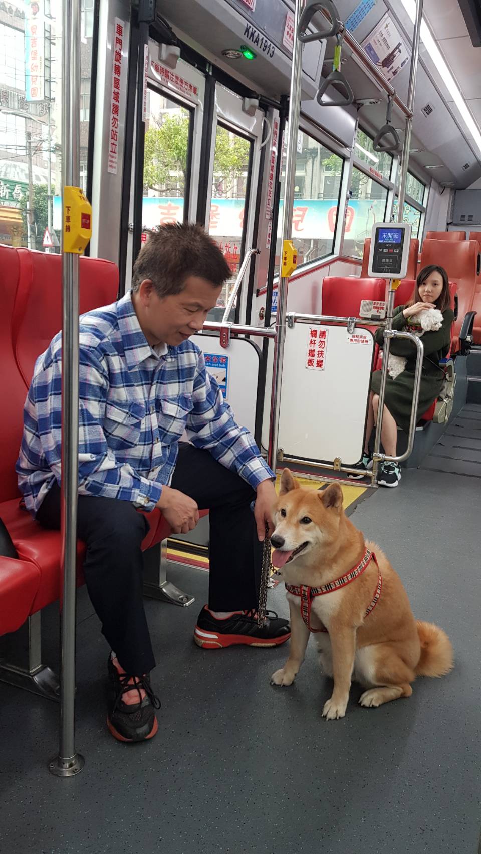 帶毛孩輕鬆出遊  新北市友善寵物公車新增藍15線...