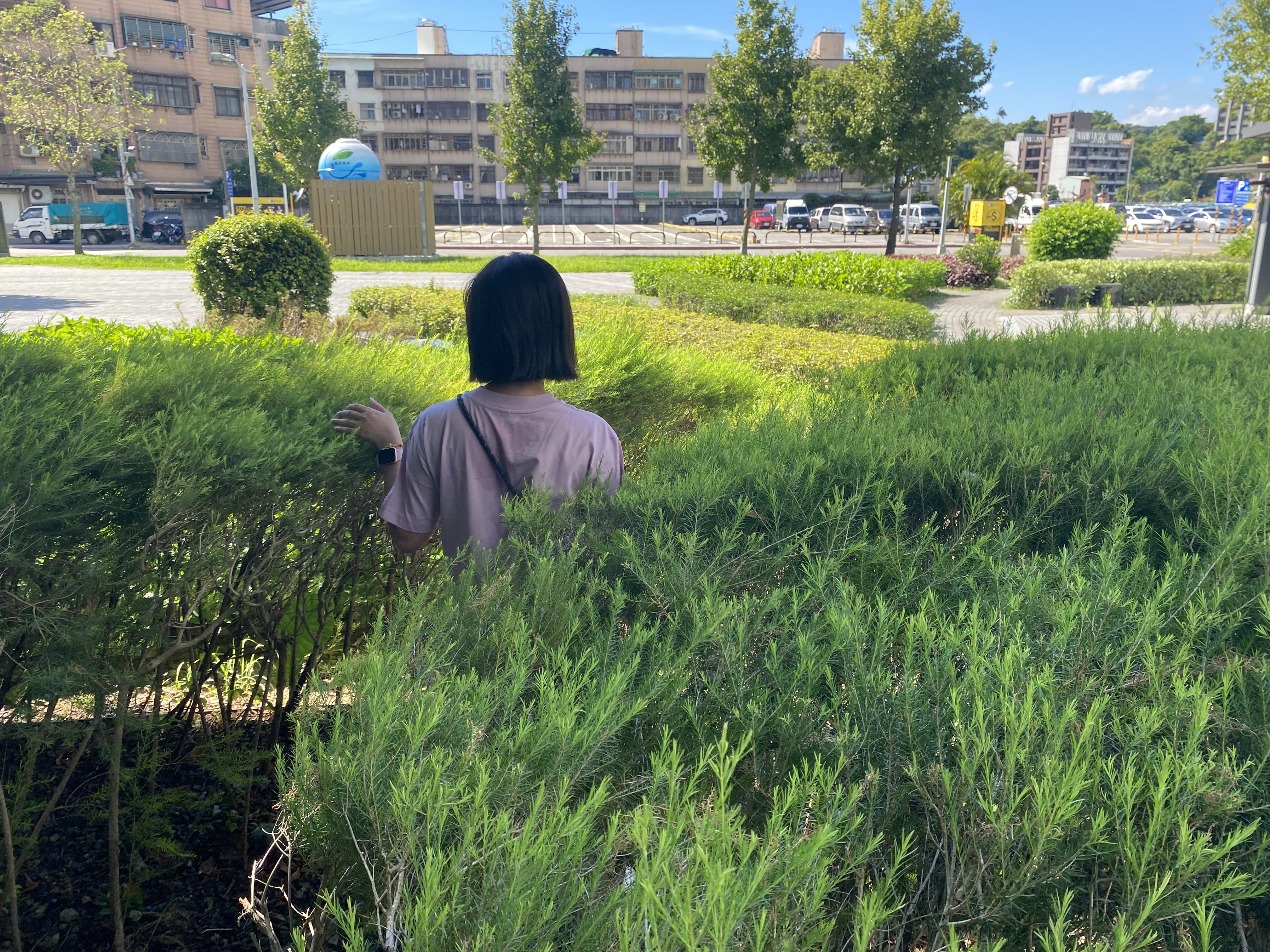 解壓來這裡   景勤一號公園風動草暗香湧動...