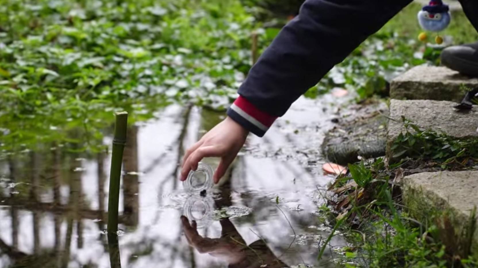 新北產官學總動員 舉辦螢火蟲講座點亮生態...