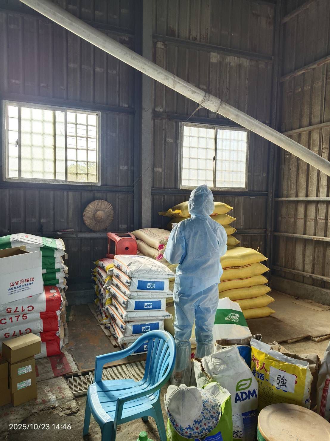 高雄市全面禁止廚餘養豬　所有再利用養豬場未來均改用飼...