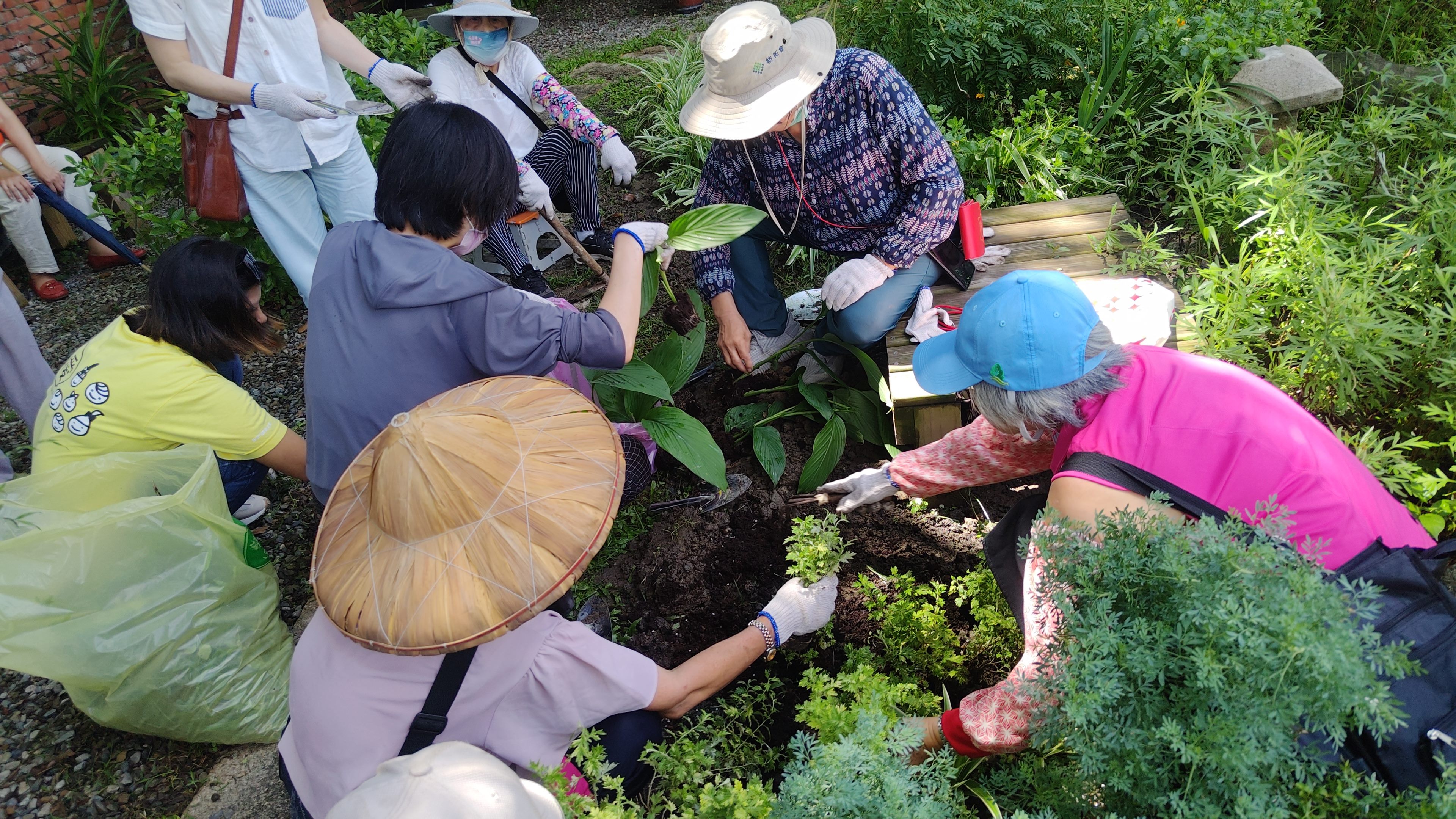 菜蔬變身上板植物   田園城市推出美化生活大招...