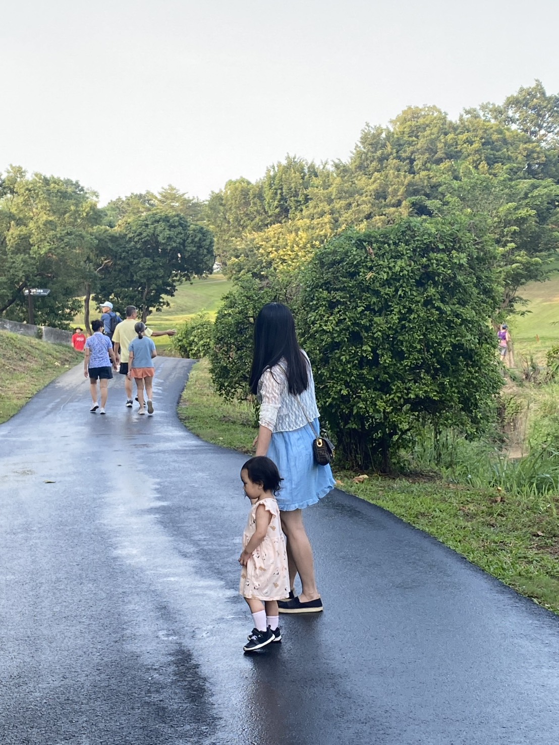 為守護生態與防範火災  %E9雄果嶺自然公園嚴禁園內明火與...