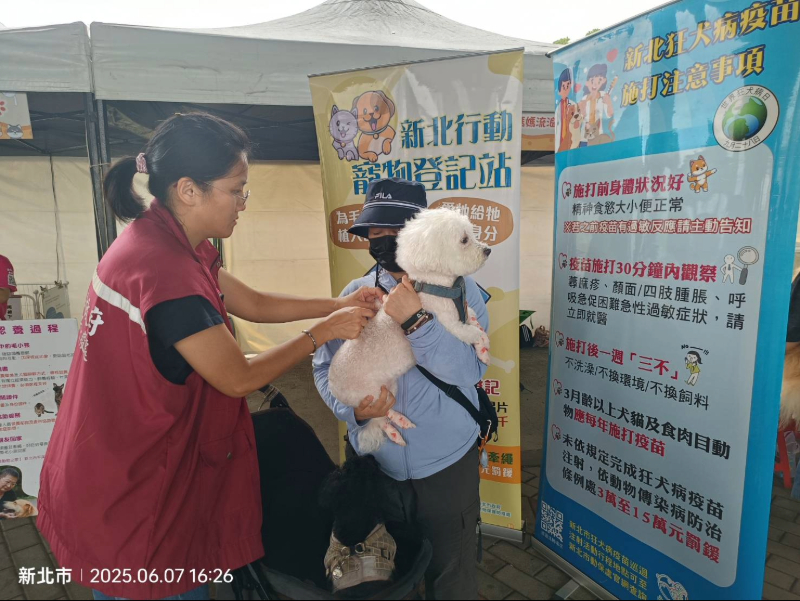 新北犬貓11月起打狂犬病疫苗抽新北幣 總獎金10萬元