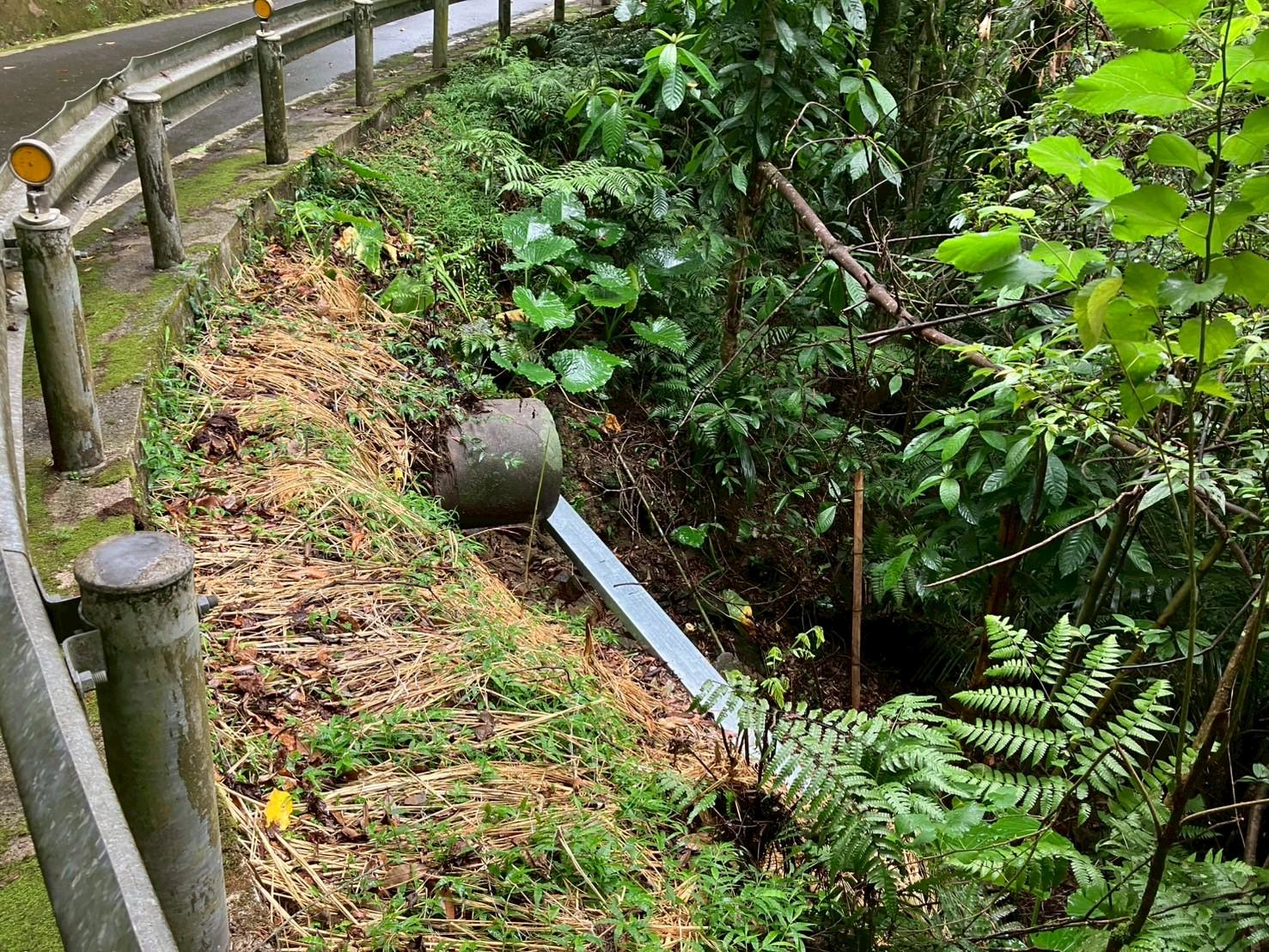 新北市農業局攜手政大推動路殺防治   全市10處生態廊道串...