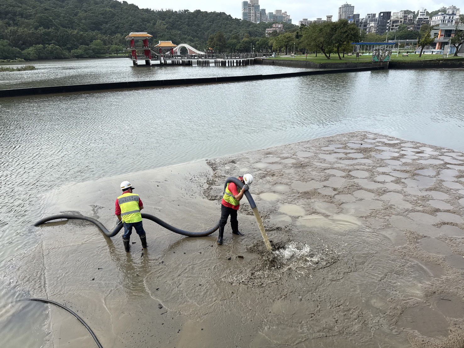 大湖公園沉砂池清淤 強化防洪韌性並維護水域生態環境...