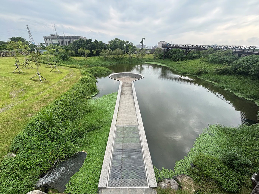 原生植物散發野趣  雙溪溼地公園靜美迷人...