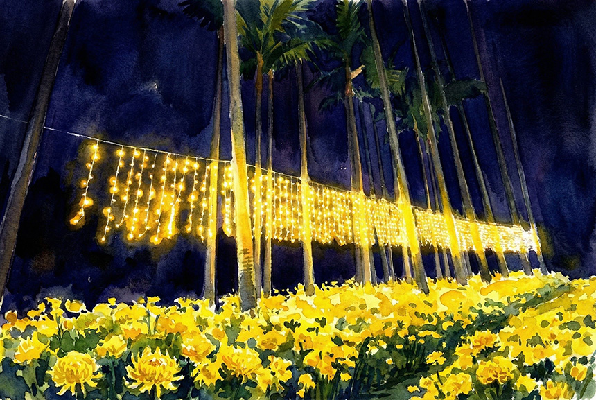 燈下花容顯嬌羞  士林官邸菊展夜間氣氛拉滿...