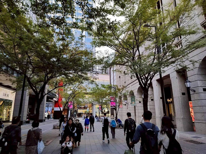 五彩燈飾高高掛  信義商圈林蔭濃濃節慶感...