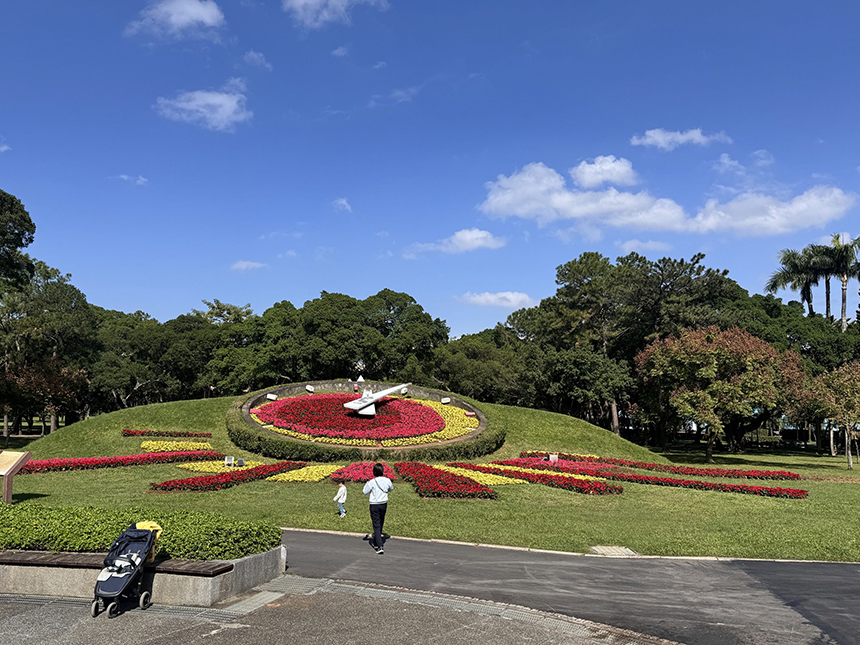 聖誕節應景  青年公園、大安森林公園花卉換新裝...
