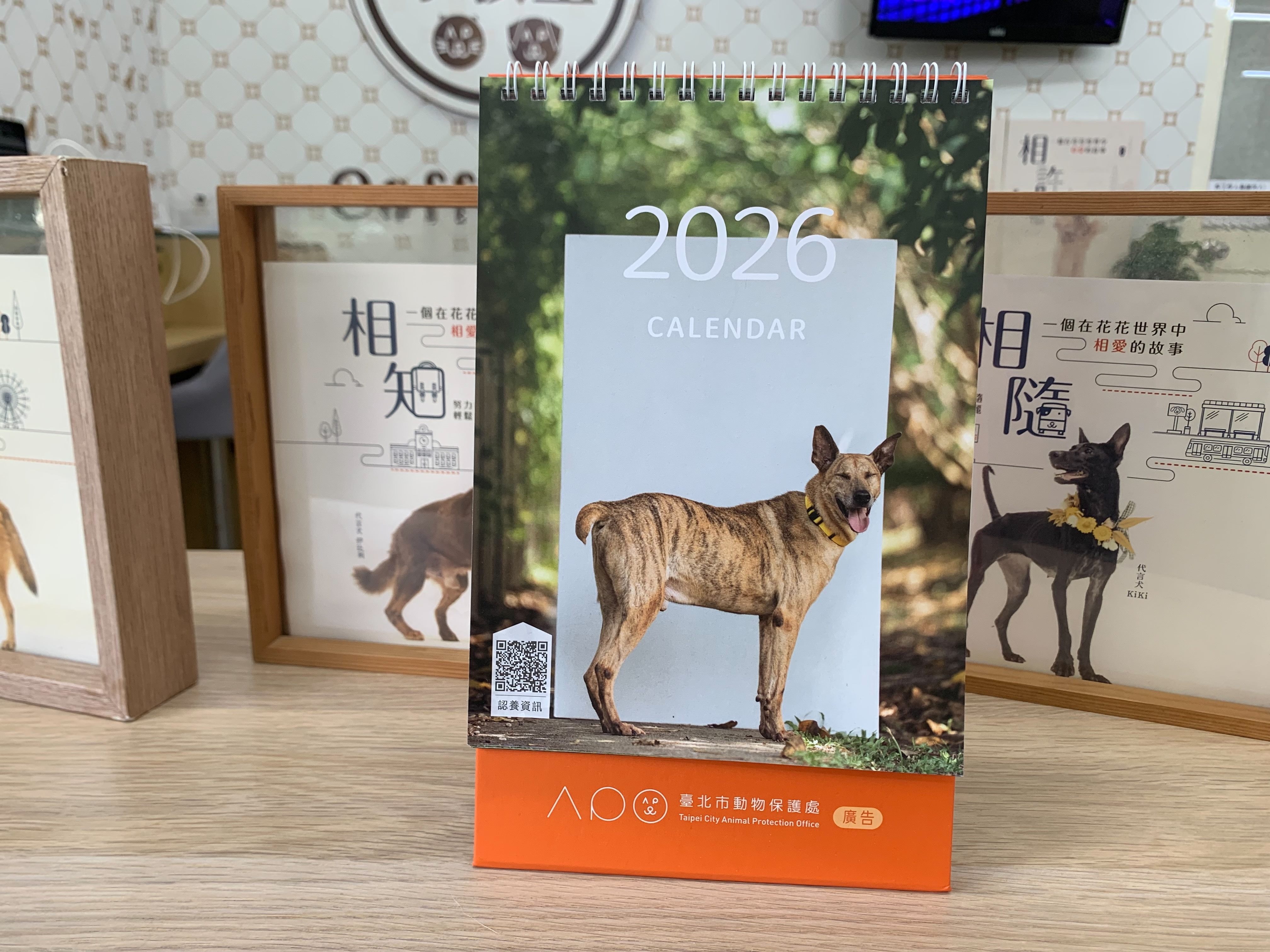 到臺北市動物之家打卡或認養動物 免費送2026年可愛貓狗桌...