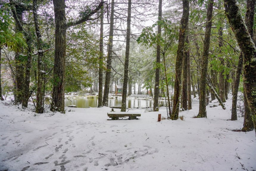 冬季暢遊梨山  在台中就能遇見雪國風景...