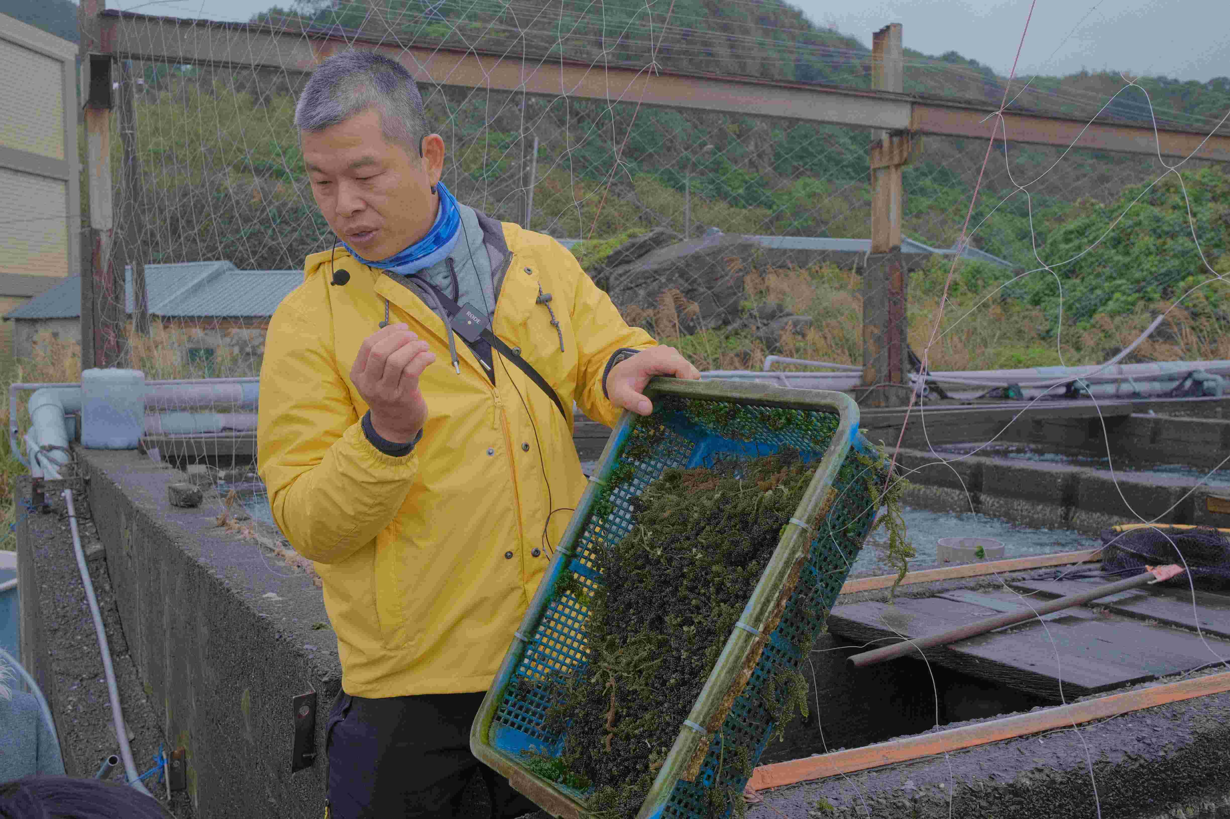 十二年課綱融入教案　新北推校園食農資源...