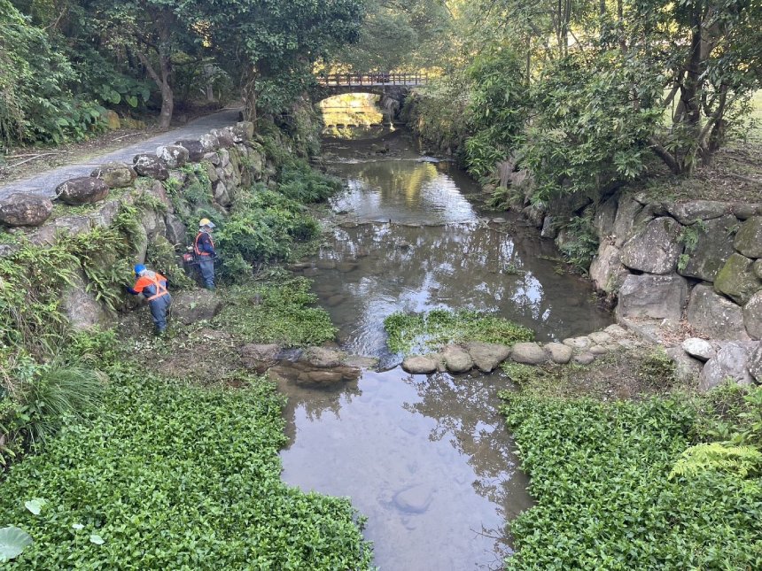 防洪升級  大溝溪生態治水園區完成清疏...