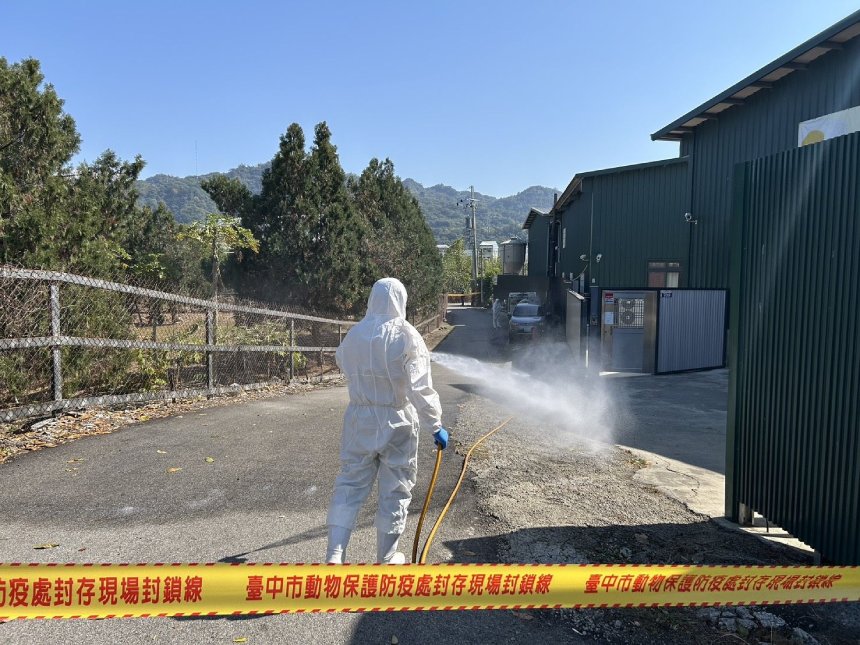 豐原蛋雞場禽流感個案  中市完成消毒撲殺並將依法開罰...