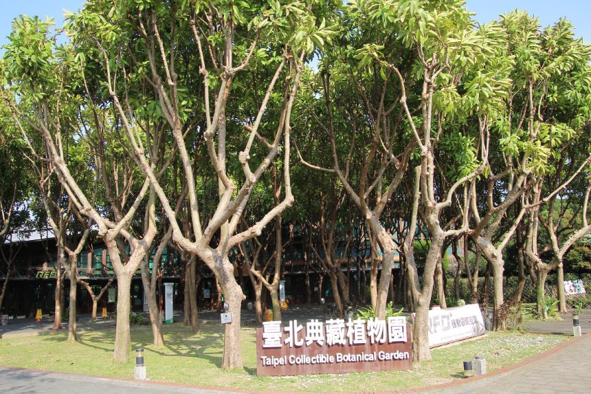 春遊第一站  台北典藏植物園志工陪聊植物...