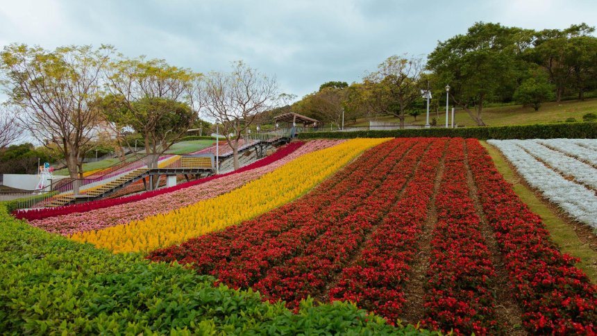 228連假何處去  三層崎花海邀你順遊北投...