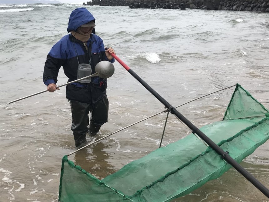新北市鰻苗禁漁期3月1日開始  籲漁民共同守護鰻魚資源...