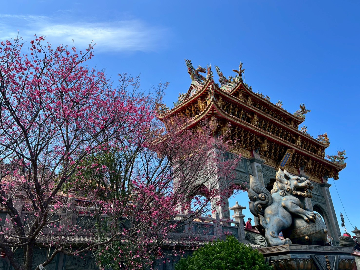 春暖花開迎好運　林口竹林山寺賞櫻祈福一次滿足...