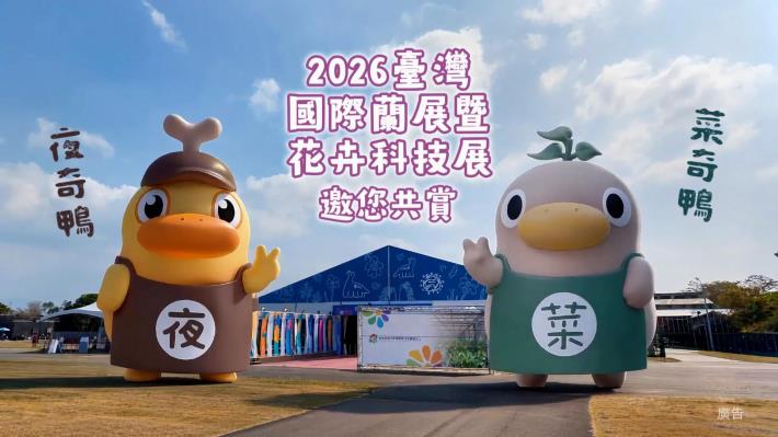 「最呆萌草根系偶像公務員」出任務！ 菜奇鴨、夜奇鴨降落...