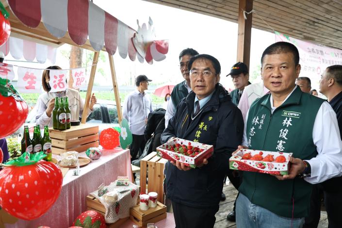 善化草莓季「莓好生活節」3/7甜蜜登場　黃偉哲邀全民體驗...