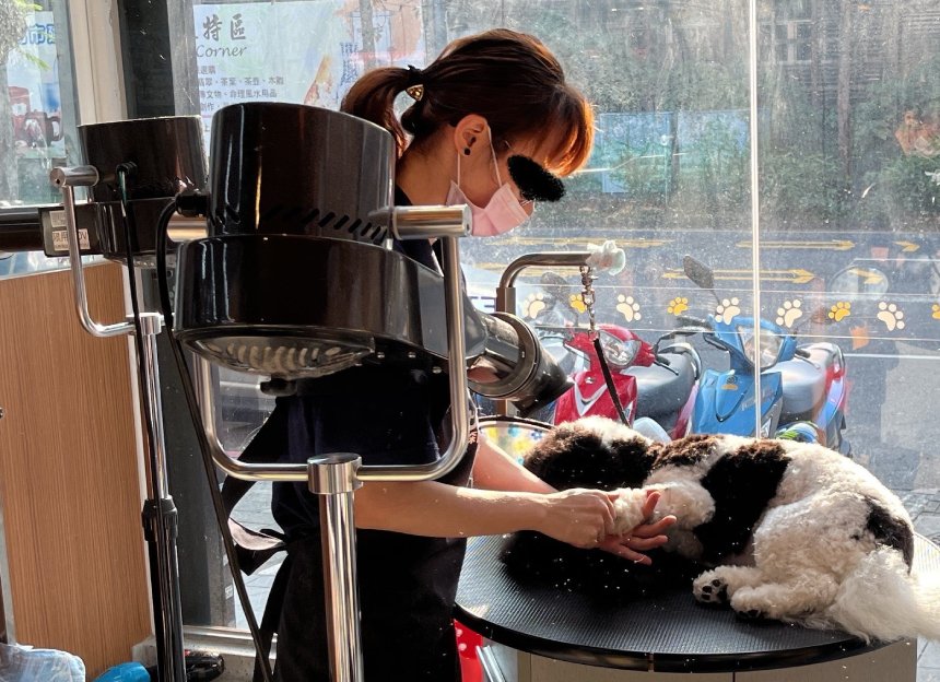 犬貓美容服務也要簽約  北市動保處3/16起輔導查核...