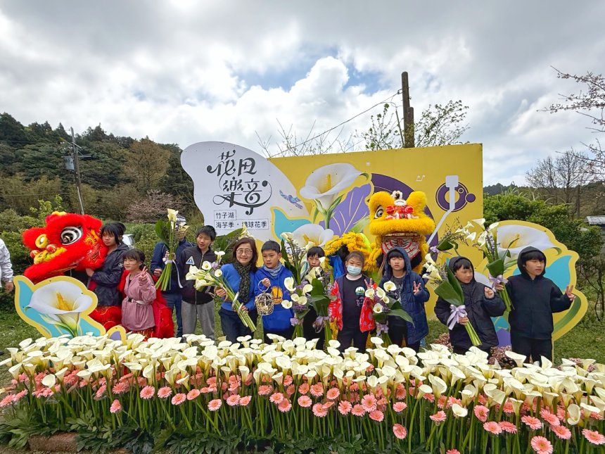 2026竹子湖海芋季繡球花季登場  上演「花田樂章」...