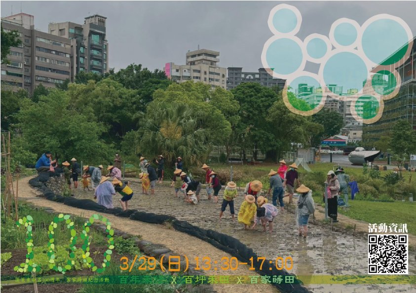 種下傳承之米  北市客家公園慶蓬萊米百年...