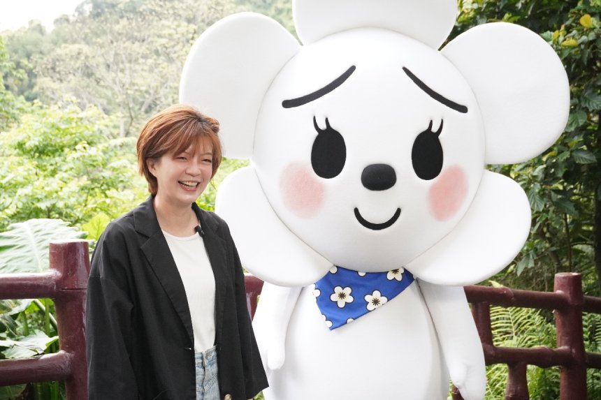 超萌「發桐醬」帶路  2026新北市客家桐花祭4月登場...