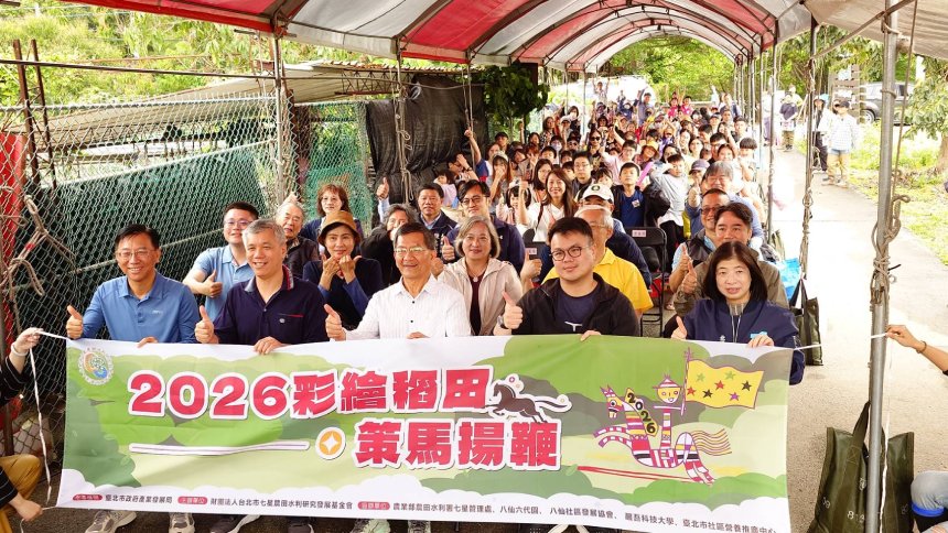 關渡稻田好繽紛  2026年5月底粉墨登場...