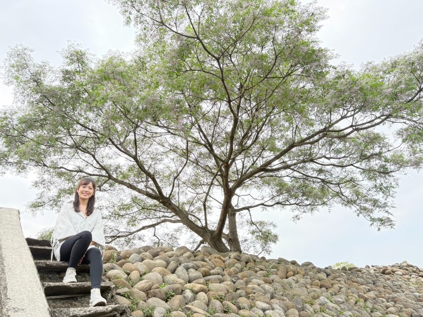 Threads 熱搜浪漫花海  新北河濱「苦楝花雨」限時盛開中...
