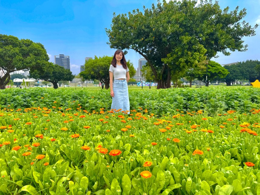 新北大都會公園3公頃夢幻花海  漫步春日童話世界...